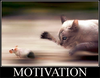 motivation cat+mice px300.png