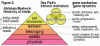 motivation-Maslow-Pink-Gamification 600px.gif