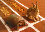 Turtle & Hare Race02b.jpg